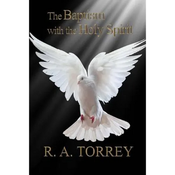 The Baptism with the Holy Spirit - Paperback
