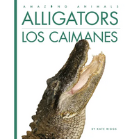 Alligators / Los Caimanes - Paperback