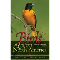 Birds of Eastern North America: A Photographic Guide a Photographic Guide - Paperback