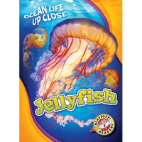 Jellyfish - Paperback