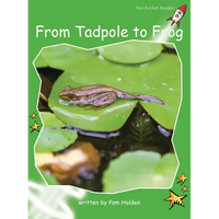 From Tadpole to Frog Big Book Edition - Paperback