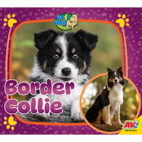 Border Collie - Library Binding