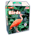 Online Discovery Birds