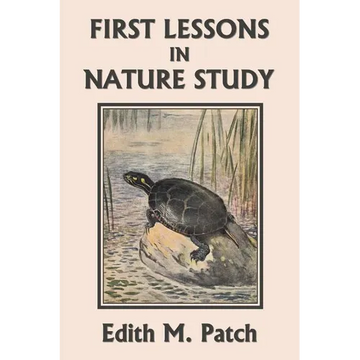 First Lessons in Nature Study (Yesterday's Classics) - Paperback