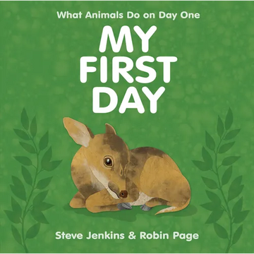My First Day - Hardcover