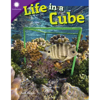 Life in a Cube - Paperback