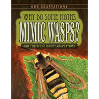 Why Do Some Moths Mimic Wasps?: And Other Odd Insect Adaptations - Library Binding