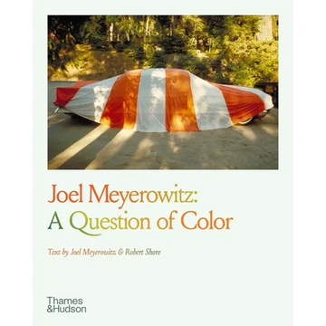 Joel Meyerowitz: A Question of Color - Paperback