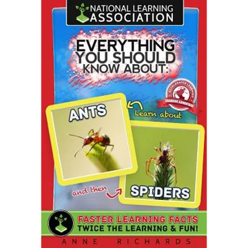 Everything You Should Know About: Ants and Spiders - Paperback