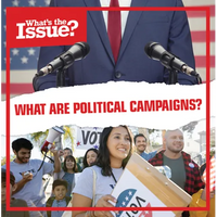 What Are Political Campaigns? - Library Binding