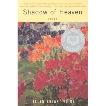 Shadow of Heaven - Paperback