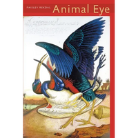 Animal Eye - Paperback