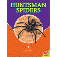 Huntsman Spiders - Library Binding