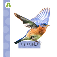 Bluebirds - Paperback