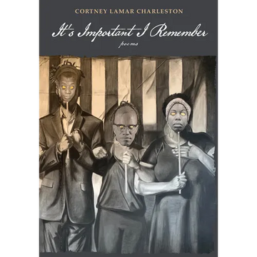It's Important I Remember: Poems - Hardcover