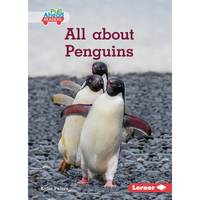 All about Penguins - Paperback
