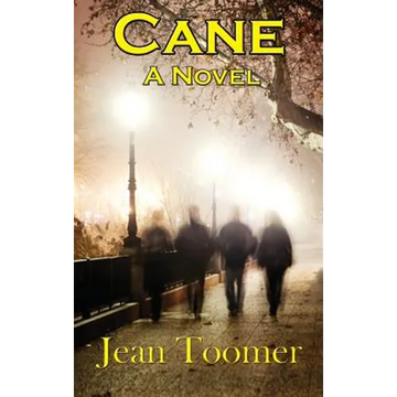 Cane: A Novel of the Harlem Renaissance - Hardcover