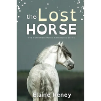 The Lost Horse - Dyslexia Friendly - Paperback