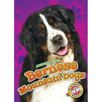 Bernese Mountain Dogs - Library Binding