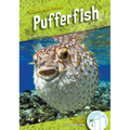 Pufferfish