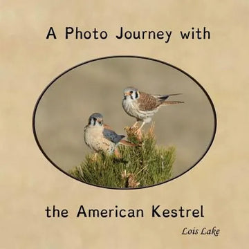 A Photo Journey with the American Kestrel - Paperback