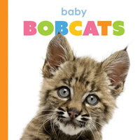 Baby Bobcats - Library Binding