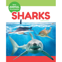Sharks - Library Binding