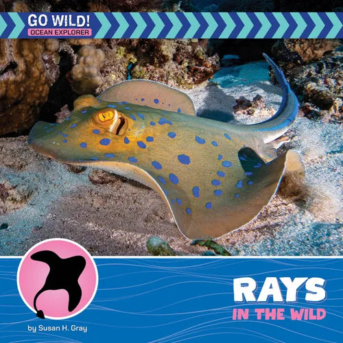 Rays in the Wild