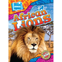 African Lions - Library Binding