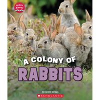 A Colony of Rabbits (Learn About: Animals) - Paperback