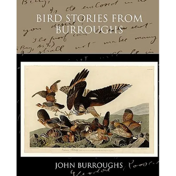 Bird Stories from Burroughs - Paperback