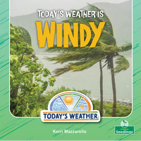 Today's Weather Is Windy - Paperback