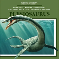 Plesiosaurus - Paperback
