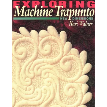Exploring Machine Trapunto: New Dimensions - Paperback