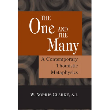 The One and the Many: A Contemporary Thomistric Metaphysics - Paperback