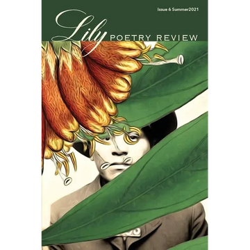 Lily Poetry Review Issue 6 - Paperback