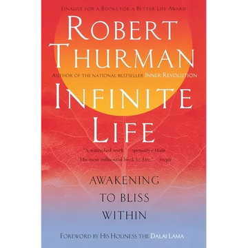 Infinite Life: Awakening to Bliss Within - Paperback