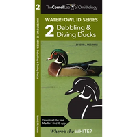 Cornell Lab of Ornithology Waterfowl Id Series: 2 Dabbling & Diving Ducks: Cornell Lab of Ornithology Bird Id Series - Paperback