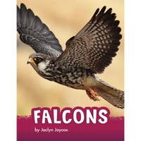 Falcons - Paperback