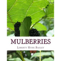 Mulberries