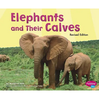 Elephants and Their Calves - Paperback