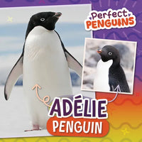 Adélie Penguin - Library Binding