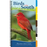 Birds of the South: Your Way to Easily Identify Backyard Birds - Spiral