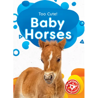 Baby Horses - Library Binding