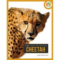 Cheetah - Hardcover