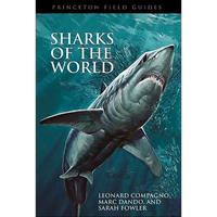 Sharks of the World - Paperback