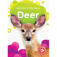 Deer - Paperback