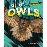 Silent Owls - Library Binding