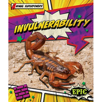 Invulnerability - Paperback
