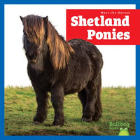 Shetland Ponies - Library Binding